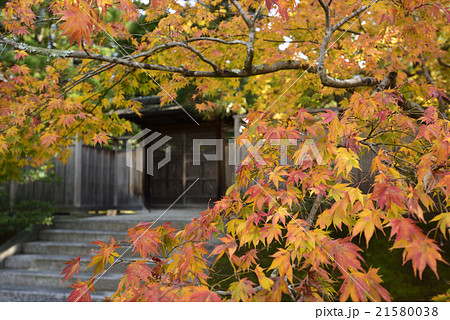 修学院離宮　下離宮　御幸門 21580038