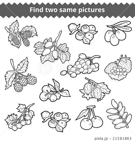 Find two same pictures. Vector set of berries Find two same pictures. Vector set of berries 21581863