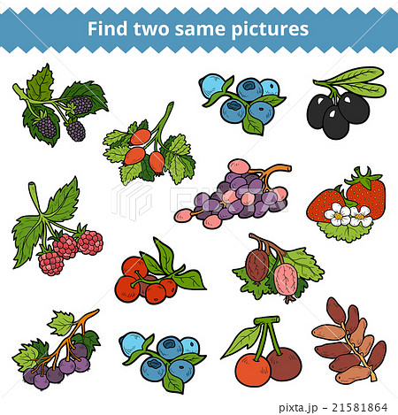 Find two same pictures. Vector set of berries 21581864