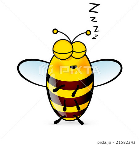 Cartoon Bee Cartoon Bee 21582243
