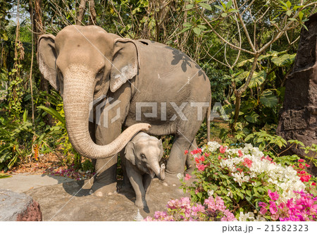 Elephant and baby elephant 21582323