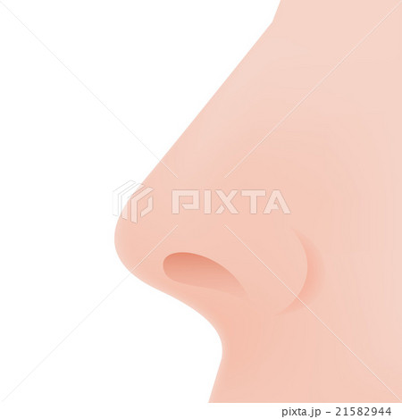 Nose Icon Nose Icon 21582944