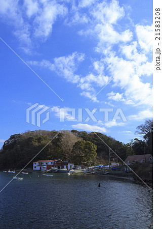小網代湾の冬 21583208