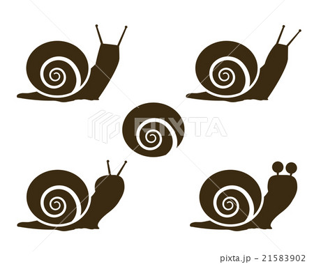 Set of Snail icon and signs Set of Snail icon and signs 21583902