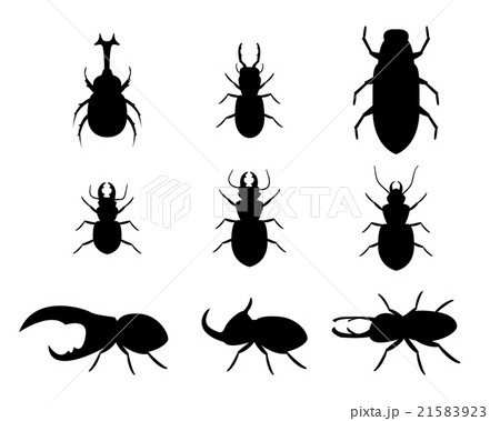 Set of stag beetle in silhouette style, vector 21583923