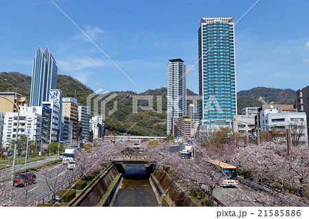 神戸 春の生田川と高層ビル 21585886