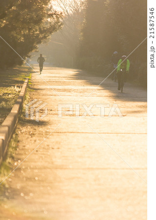 葛西臨海公園、ランニングコースを走るランナーとサイクリスト 葛西臨海公園、ランニングコースを走るランナーとサイクリスト 21587546