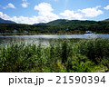 白樺湖とススキ高原 21590394