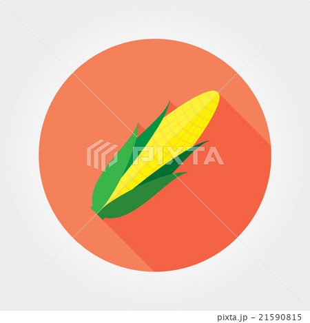 Corn. Flat icon. Corn. Flat icon. 21590815