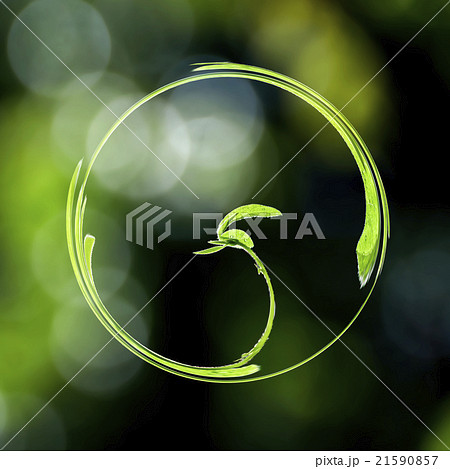 芽生え 芽生え 21590857