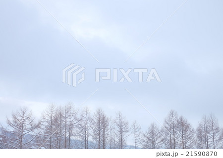 冬景色 21590870