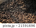 Drying coffee beans 21591696