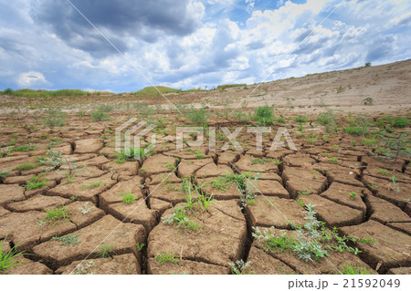 surface crack of soil in arid area surface crack of soil in arid area 21592049
