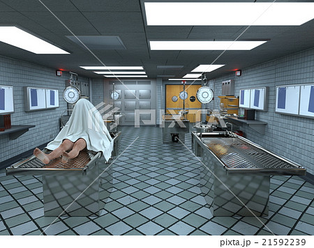 死体安置所 21592239