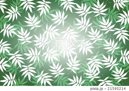 背景素材壁紙 笹の葉 ささ ササ 落葉 若葉 竹林 和風 柄 伝統模様 日本 東洋的な 新緑 初夏 のイラスト素材