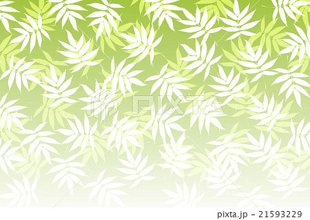 背景素材壁紙 笹の葉 ささ ササ 落葉 若葉 竹林 和風 柄 伝統模様 日本 東洋的な 新緑 初夏 のイラスト素材