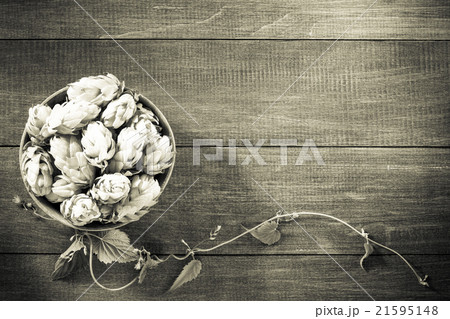 hop cones on wood hop cones on wood 21595148