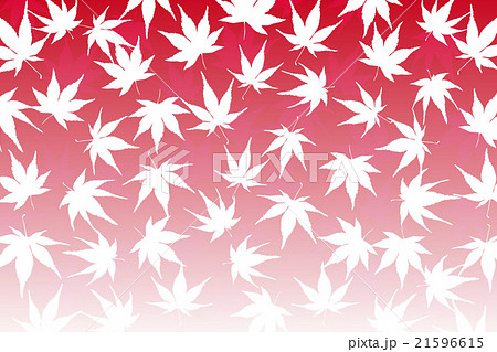背景素材壁紙,もみじ,椛,モミジ,紅葉,落ち葉,秋,山,風景,植物,自然,和風,日本,東洋,伝統模様 背景素材壁紙,もみじ,椛,モミジ,紅葉,落ち葉,秋,山,風景,植物,自然,和風,日本,東洋,伝統模様 21596615