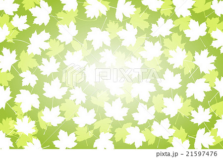 背景素材壁紙 楓 カエデ かえで 紅葉 落葉 山 自然 植物 木 風景 和風 柄 伝統模様 日本 秋のイラスト素材
