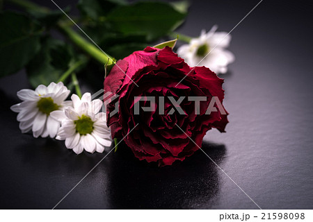 花、薔薇、接写、マクロ。 21598098