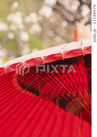 長谷寺（鎌倉）の早春 21598479