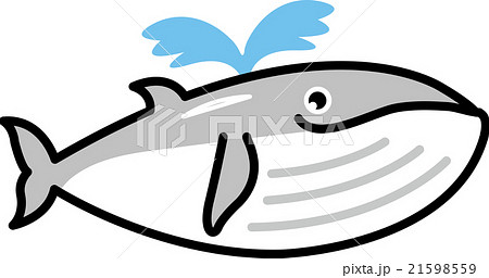 動物 海 クジラ キャラクターのイラスト素材