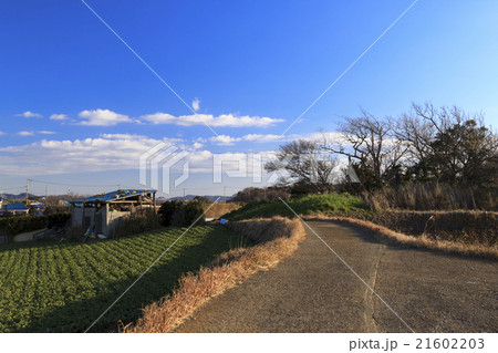晴れの畑 21602203