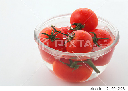 トマトガラスボール氷水入り横位置 21604208