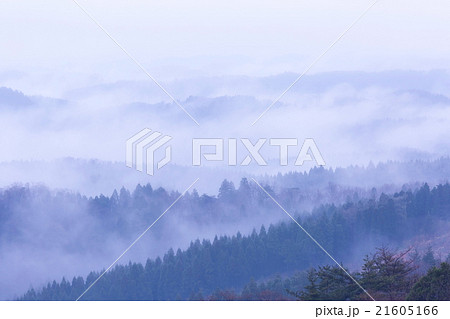 朝もや 21605166