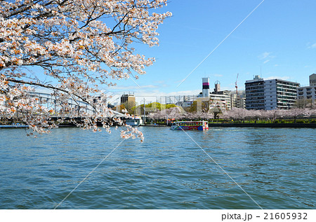 大阪　大川沿いの桜並木 21605932