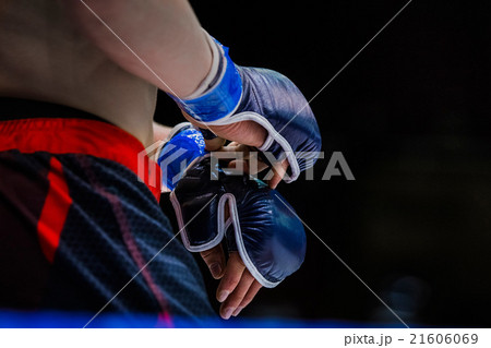 closeup gloves boxer 21606069