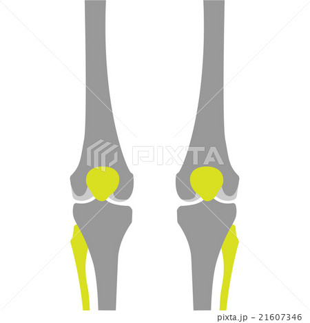 Flat Icon of Knee on White Background 21607346