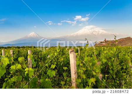 Khor Virap and Mount Ararat Khor Virap and Mount Ararat 21608472