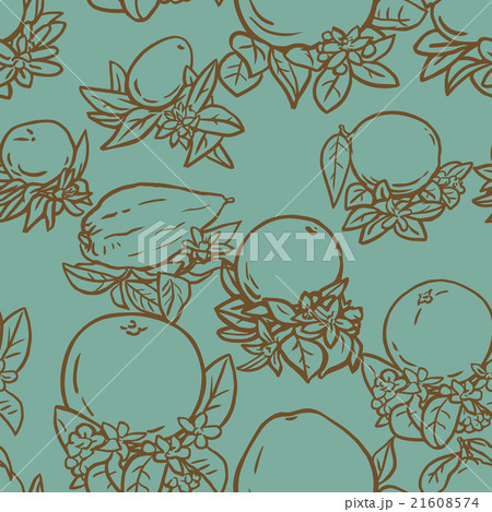 Various tropical citrus fruits 21608574