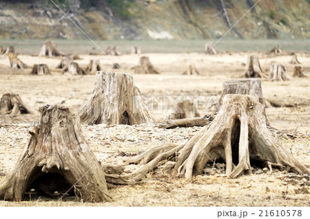 茫漠たる荒野のような糠平湖の乾いた湖底の写真素材 21610578 Pixta