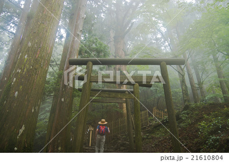 玉置神社参道 21610804