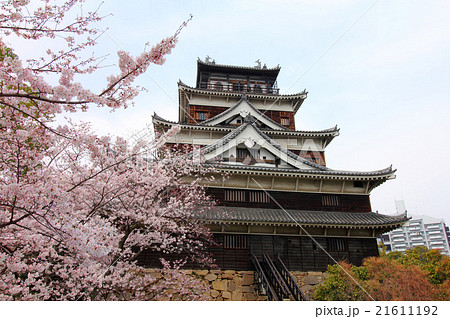 広島城　満開の桜 21611192