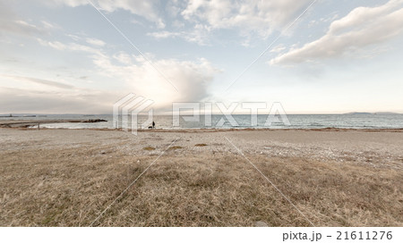 神崎海水浴場 ラブラドール 散歩 21611276