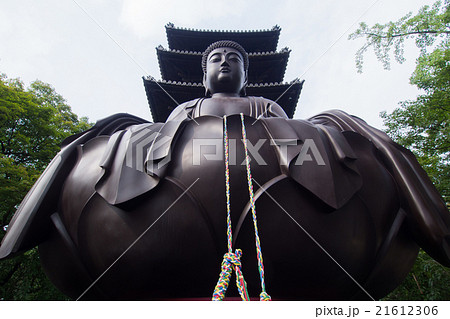 八事山興正寺 大仏 八事山興正寺 大仏 21612306