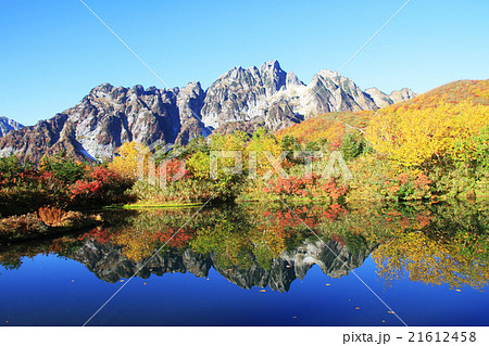 仙人池からの剱岳と紅葉 21612458