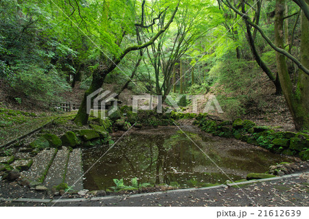 西郷隆盛開墾の地 西郷隆盛開墾の地 21612639
