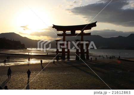 厳島神社大鳥居と夕日の写真素材