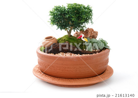 Miniature Garden in a Pot Miniature Garden in a Pot 21613140