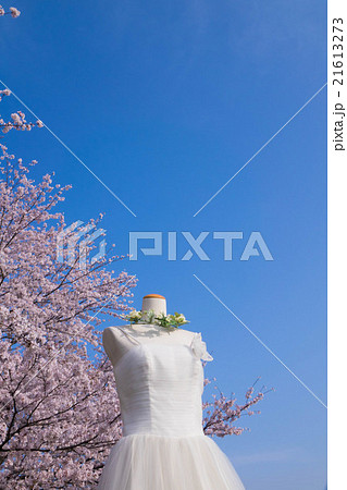 ウエディングドレスと桜 ウエディングドレスと桜 21613273