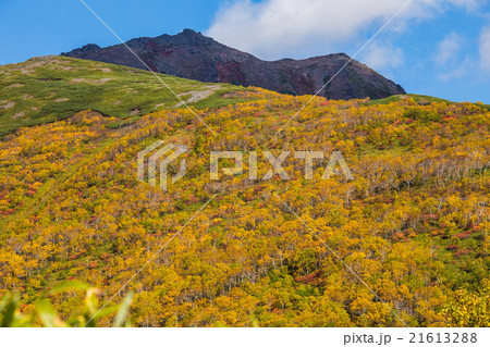 トムラウシ山と紅葉。9月 21613288