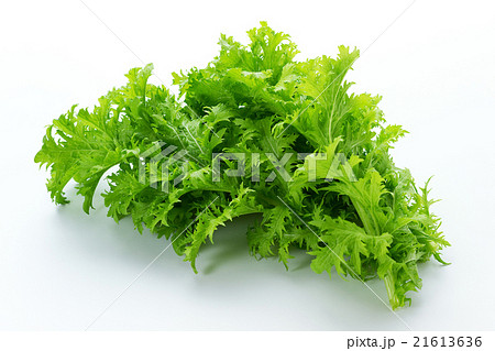 わさび菜1 21613636