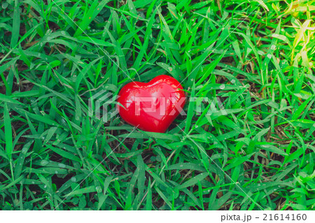 red heart in the hands red heart in the hands 21614160