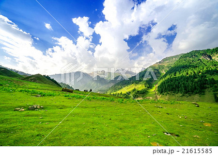 mountain view of Sonamarg, Jammu and Kashmir state mountain view of Sonamarg, Jammu and Kashmir state 21615585