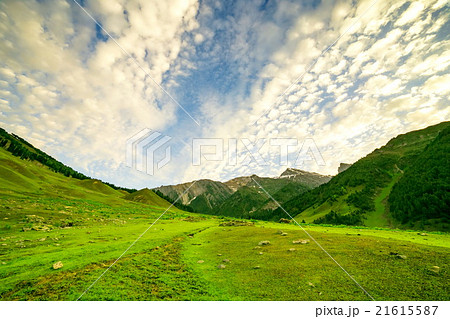 mountain view of Sonamarg, Jammu and Kashmir state mountain view of Sonamarg, Jammu and Kashmir state 21615587