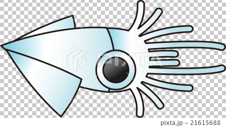 魷魚 21615688